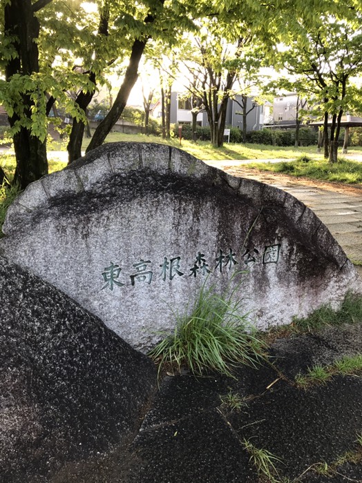 東高根森林公園