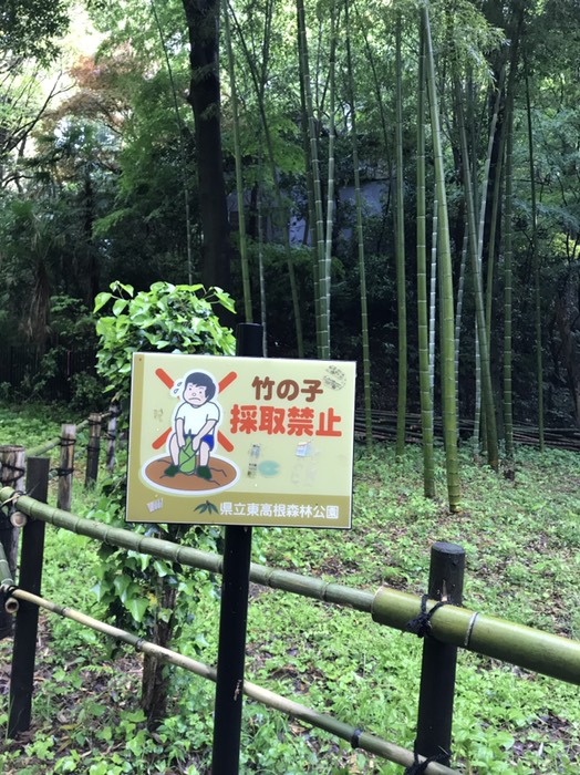 竹の子掘り禁止