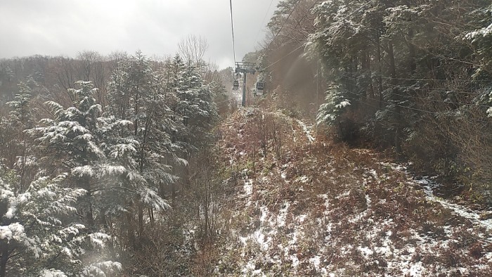 ロープウェイより