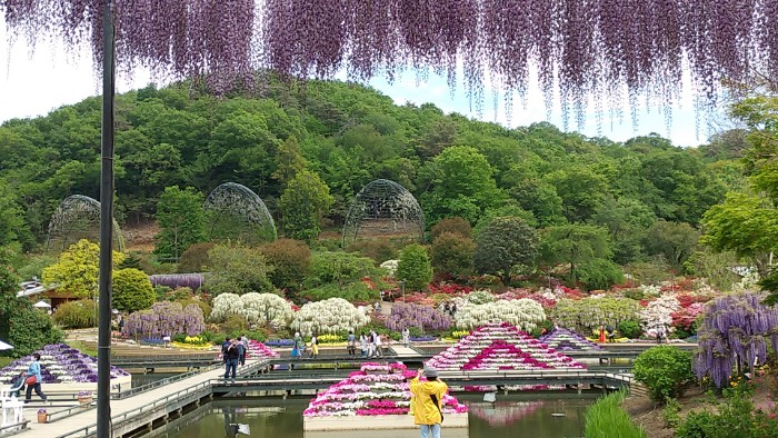 あしかがフラワーパーク