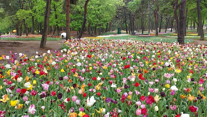 たまごの森フラワーガーデン