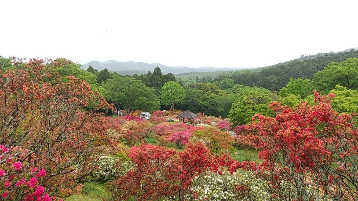笠間つつじ公園