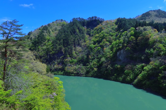 さいじきばしからの眺め