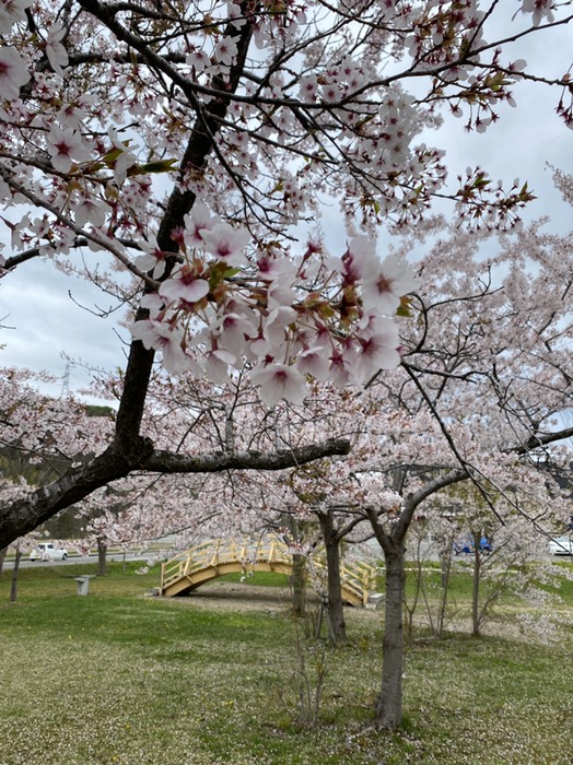 奥津軽いまべつ駅②
