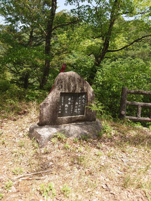 天竜川の展望所