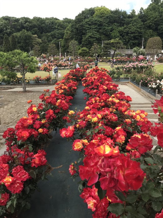 チャールストン