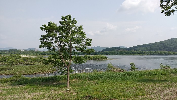 木曽川扶桑緑地公園