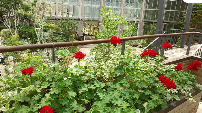 花の地球館