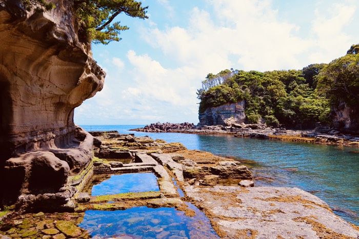 鵜原理想峡　ゴトガエリ