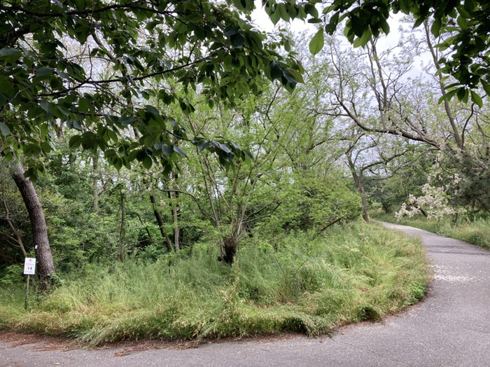 最初のトイレへの分岐点