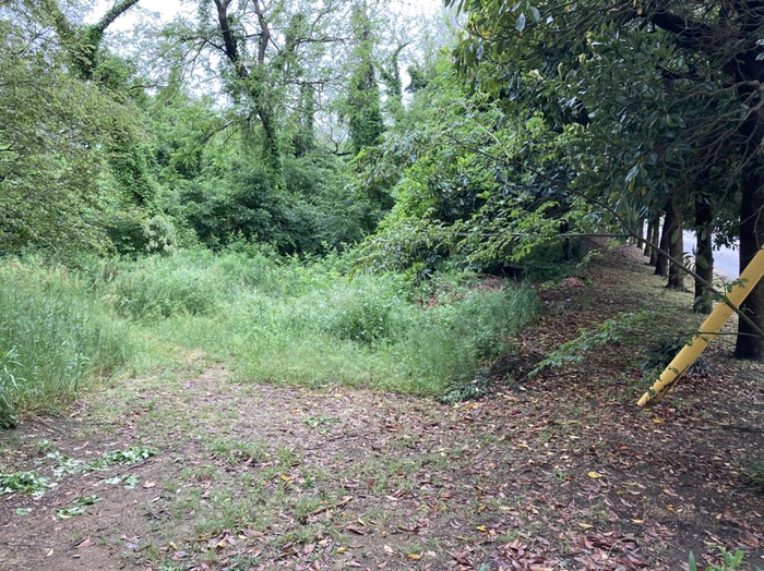 赤い車近くの黄色い目印の地点から9時10時の方向の小道へ