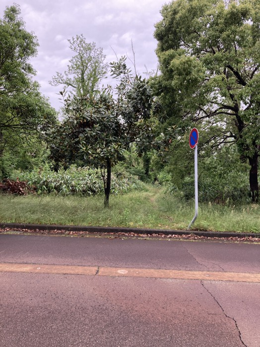 車道を横切って道は続く