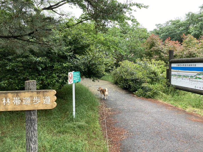 終点。林帯遊歩道の入口❗️