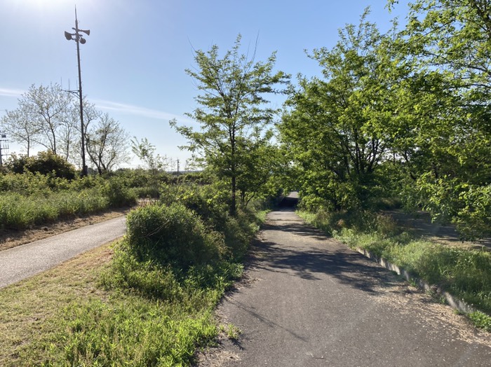 スタートの看板から海への道に出る
