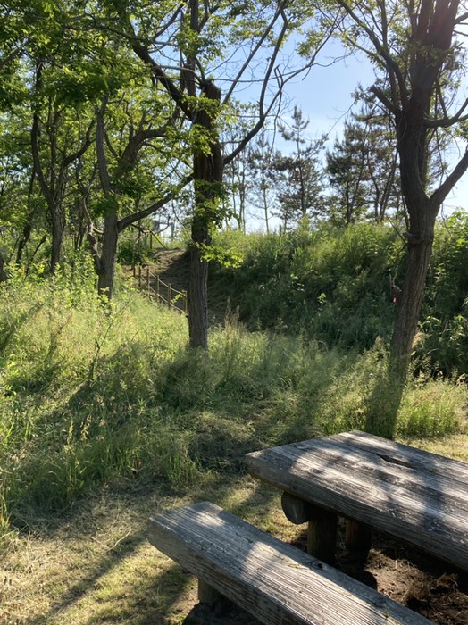 ベンチから展望台への坂