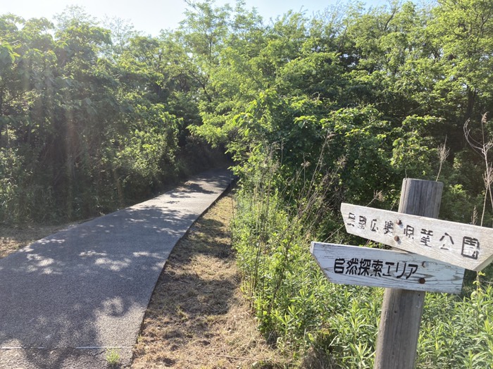 自然探索エリアへ行けばきょりも伸ばせる