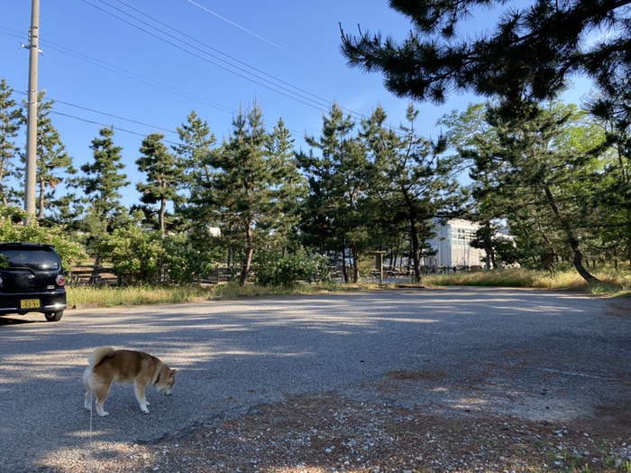 駐車場、白い建物はものづくり会館