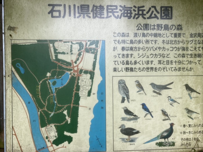 公園入り口の案内図
