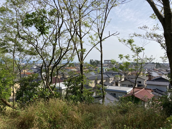 展望台、真ん中の木の右の高い建物は金石小学校