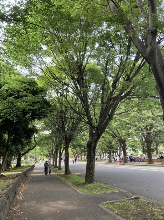 高速道路近くとは思えない