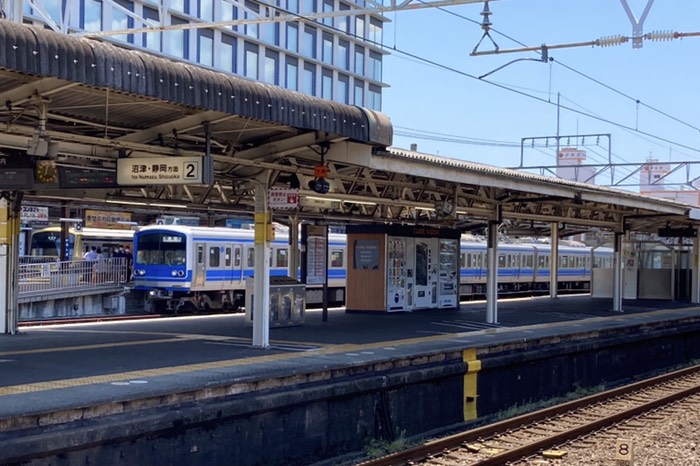 伊豆っぽい電車1