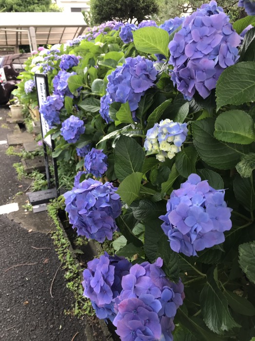 朝6時