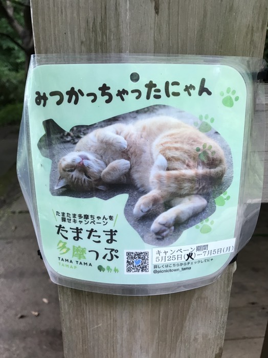 たまたま多摩っぷ