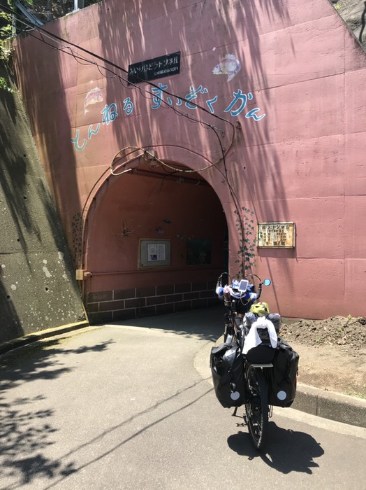 トンネル水族館