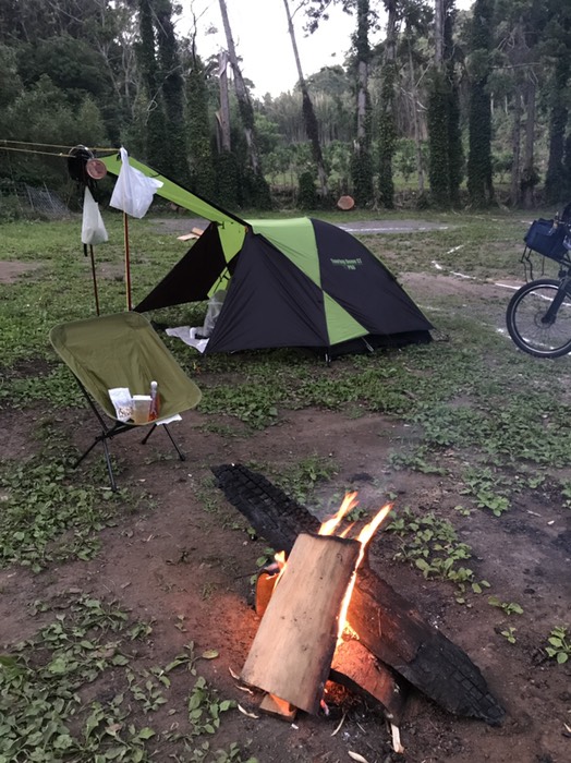 キャンプファイヤーと梅酒