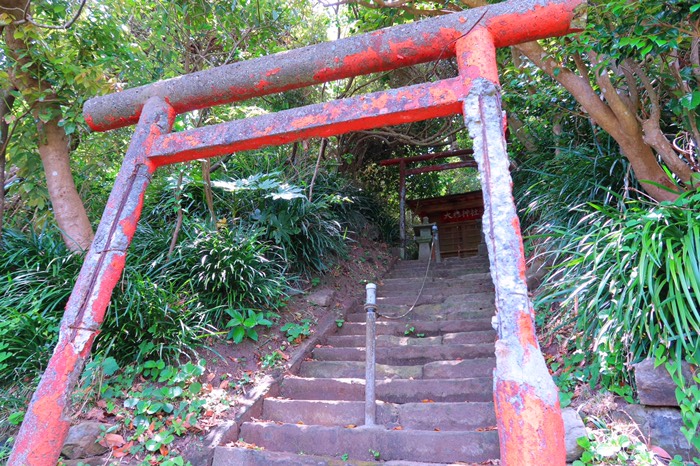 鵜原理想峡　大杉神社
