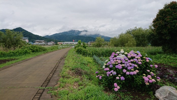 りんりんロード2