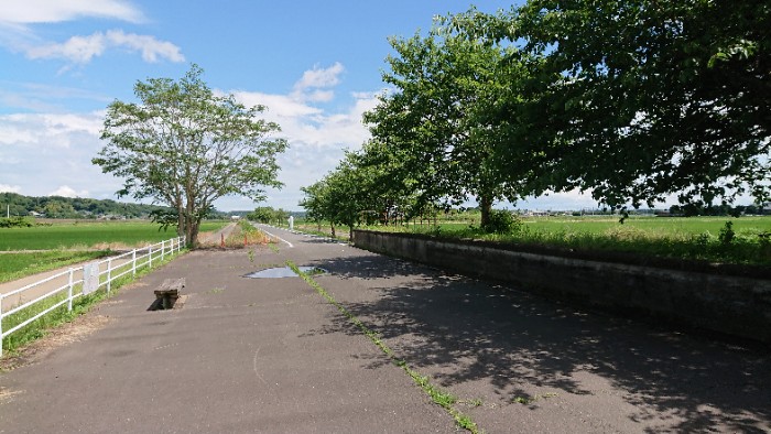 りんりんロード5