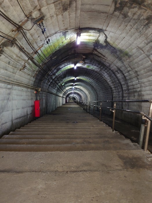 ホームへの階段