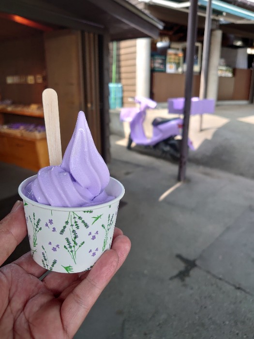 ラベンダーソフト