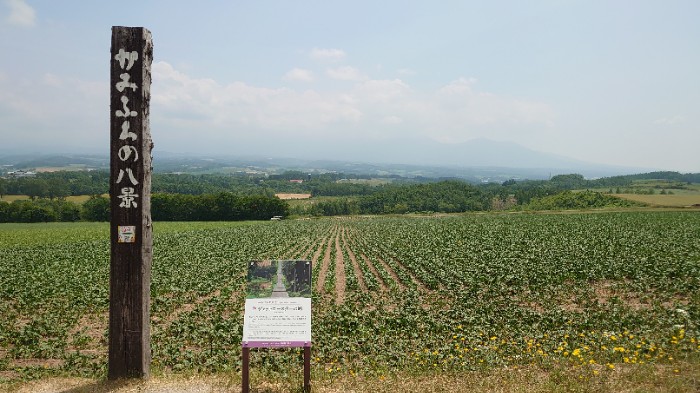 ジェットコースターの路