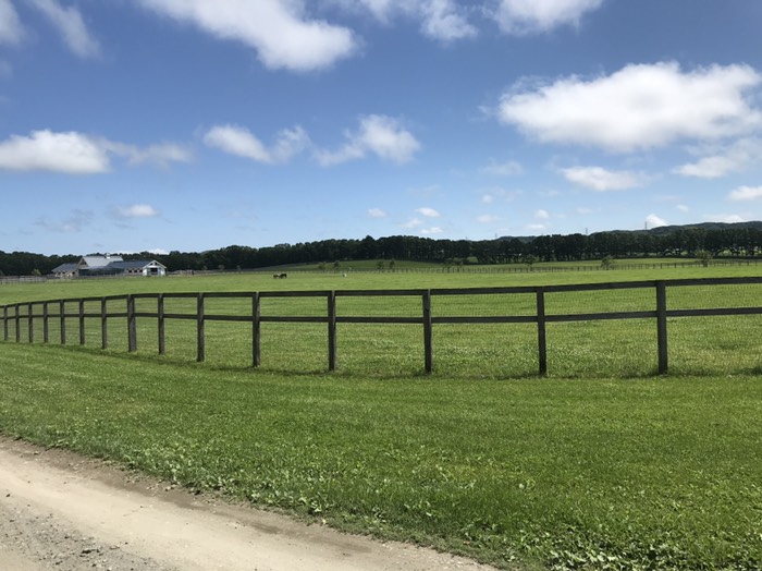 牧場の風景