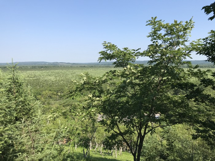 コッタロ湿原展望台