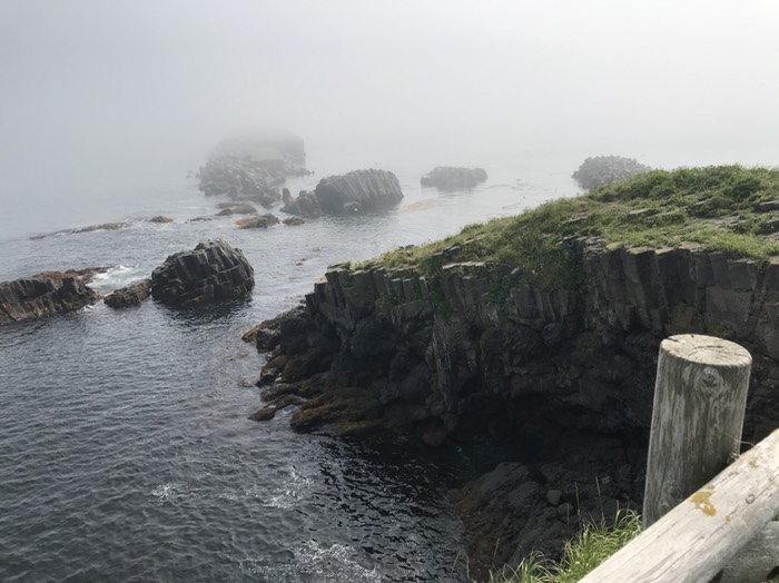 根室花咲岬　車石