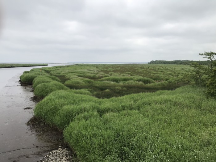 ヤウシュベツ川湿原