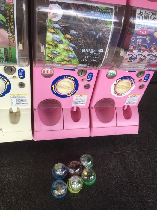 カブトムシ ガチャガチャ