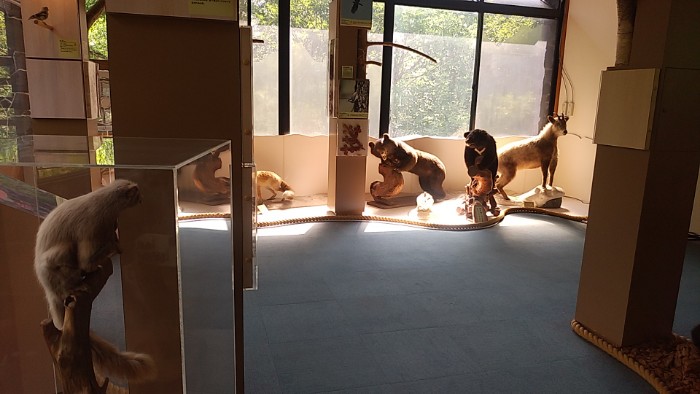 山楽館 新穂高ビジターセンター