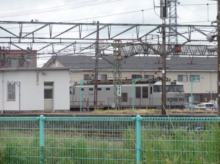 なんかカッコイイのいた！