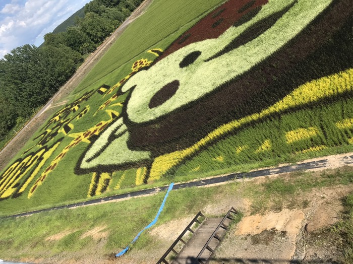 田圃アート1