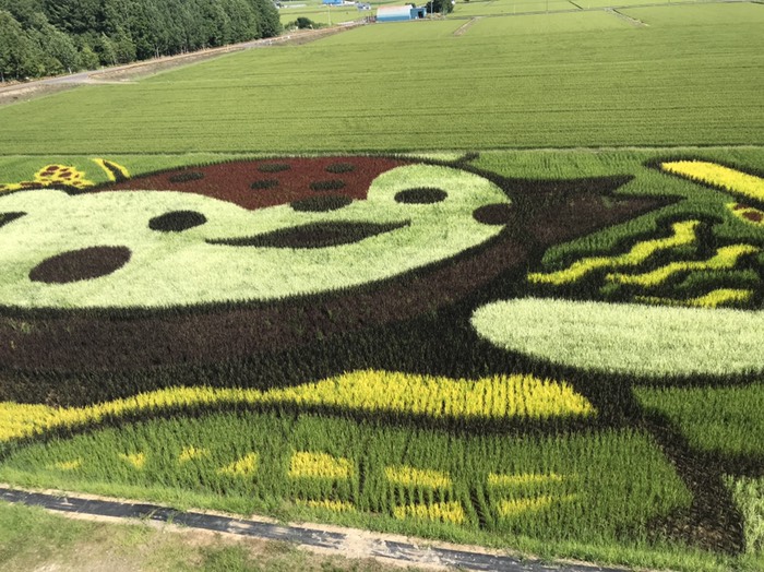 田圃アート2