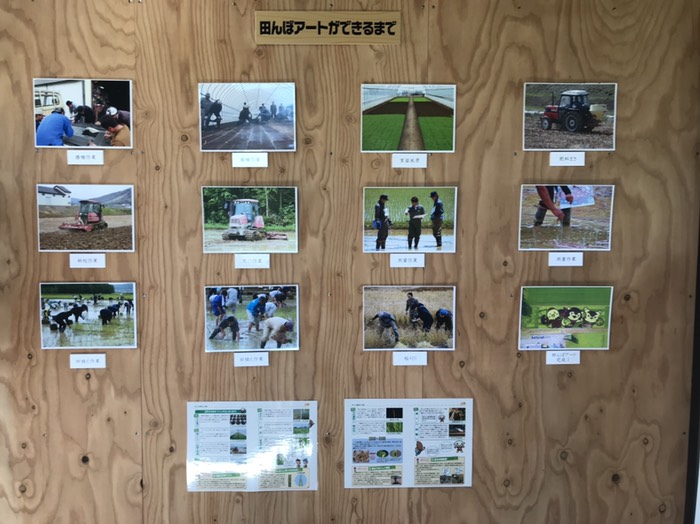 田圃アートが出来るまで