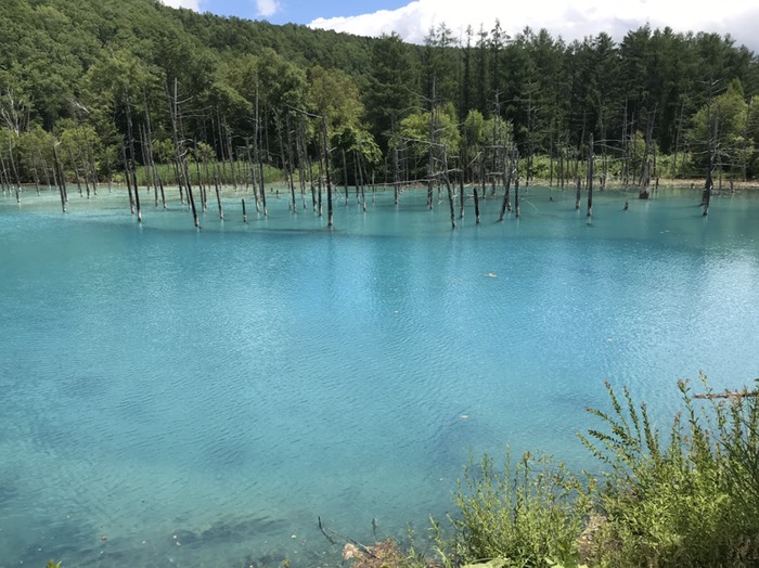 青い池2