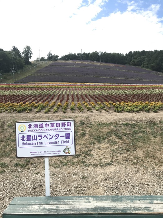 北星山ライダー園