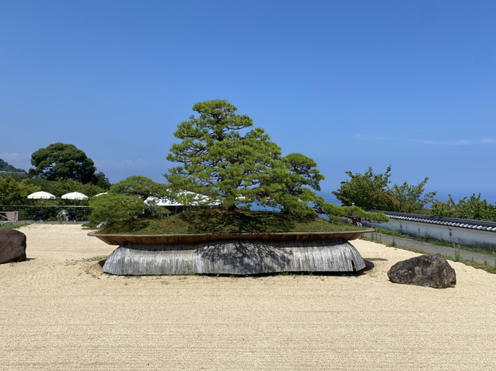 アカオガーデン②