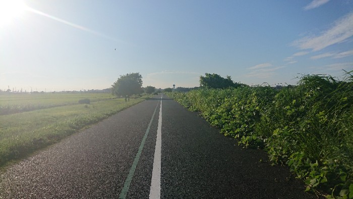 手賀沼サイクリングロード