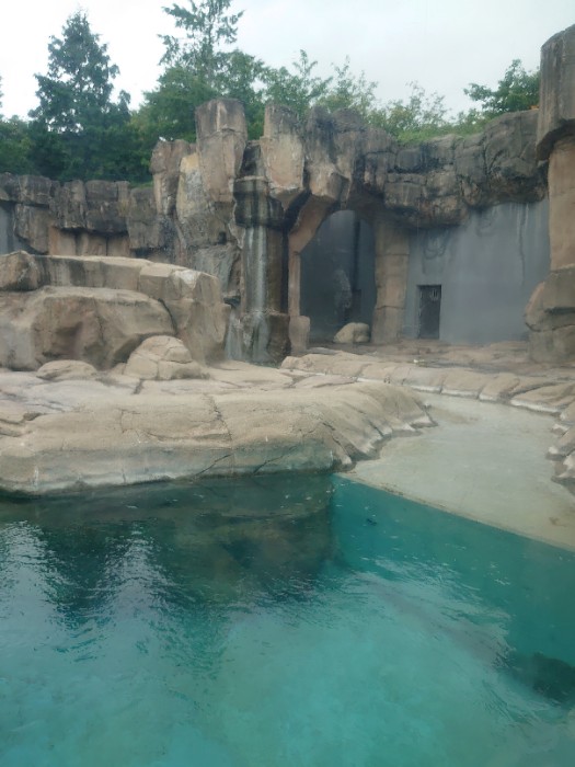 ホッキョクグマ